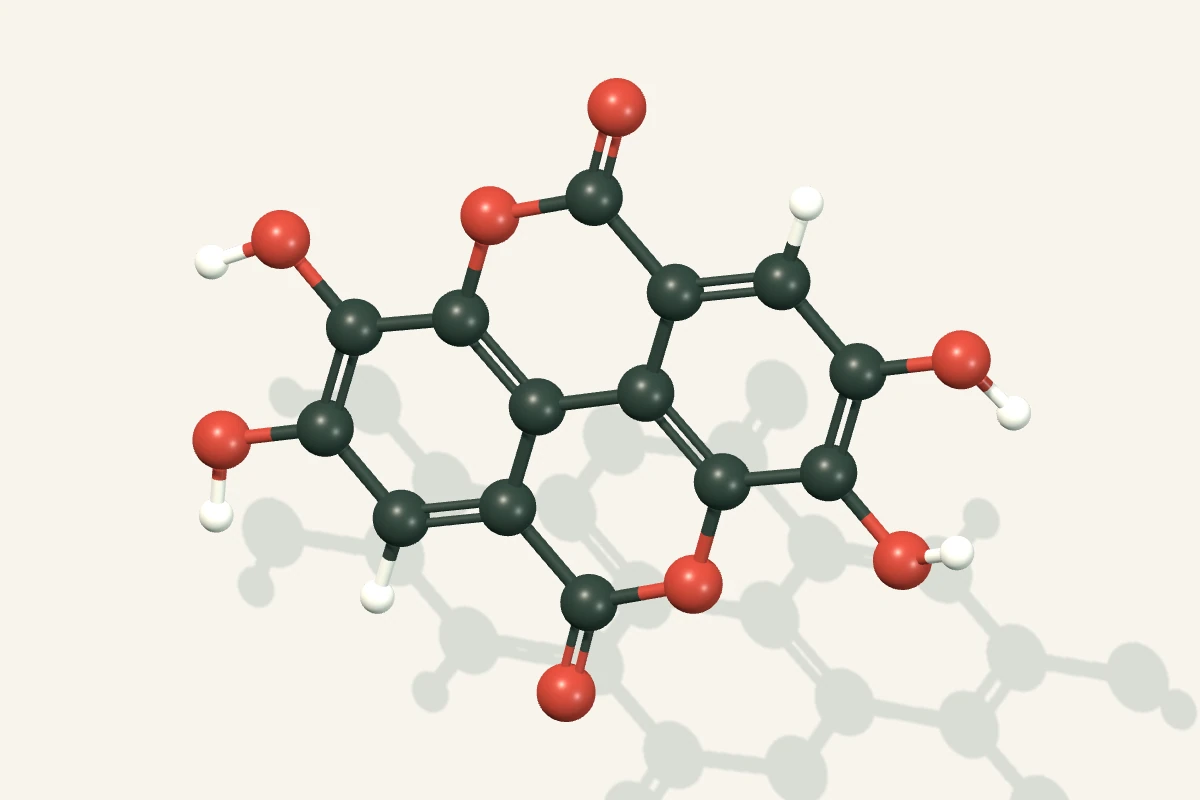 Ball-and-stick rendering of the PubChem computed 3D conformer of ellagic acid; representative compound, not a NUSAPACT batch assay